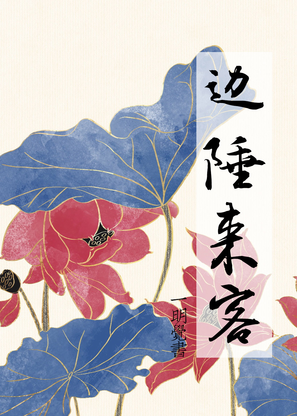 边陲来客施应旋小说