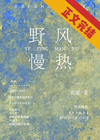 野风艺术高中是国家正规的高中吗