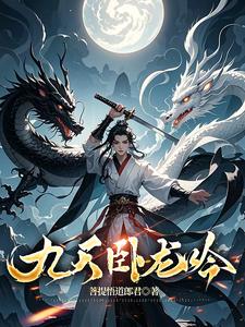 九天倾歌小说