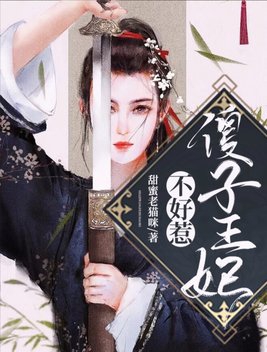 傻子王妃不好惹完整版